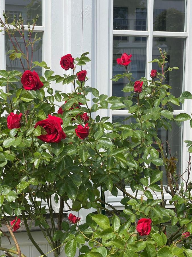 Villa Waldrose بينز المظهر الخارجي الصورة